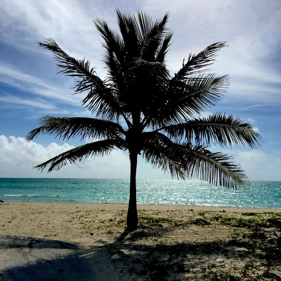 Meet your Posher, Monica - Picture 1 of 2